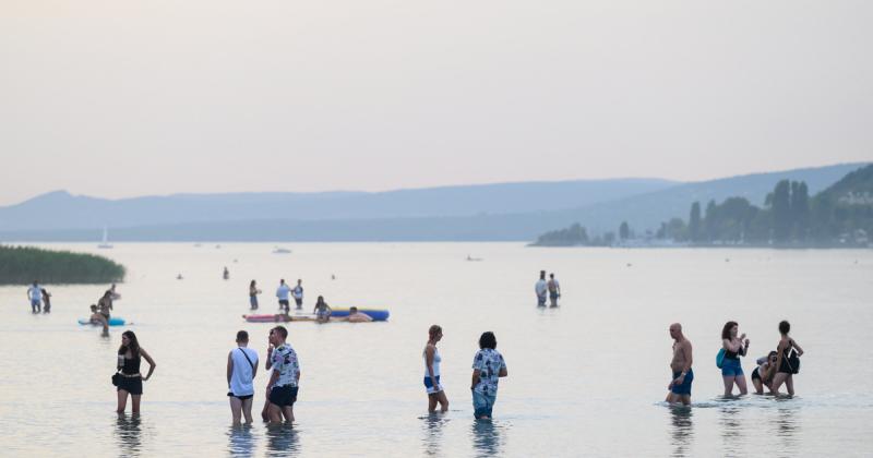 A Balaton vize apad, a fenyvesek lassan eltűnnek: egy baljós jövőképet rajzolnak elénk, amely nem is olyan távoli.