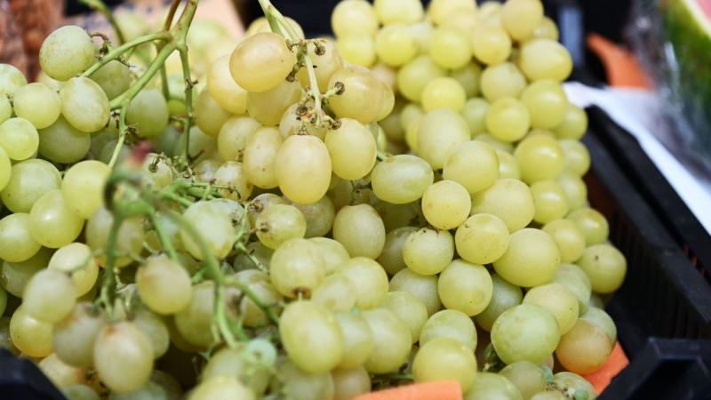 Ezek a szőlő alapú ínycsiklandó receptköltemények garantáltan elbűvölik a család minden tagját: sós és édes fogások, melyek tökéletesen megidézik az őszi hangulatot!