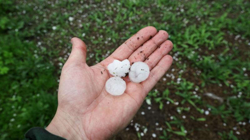 Furcsa és viharos időjárási jelenségek söpörtek végig Magyarország területén: bemutatjuk, hol érkezett a jégeső és milyen károkat okozott - Agro Napló.