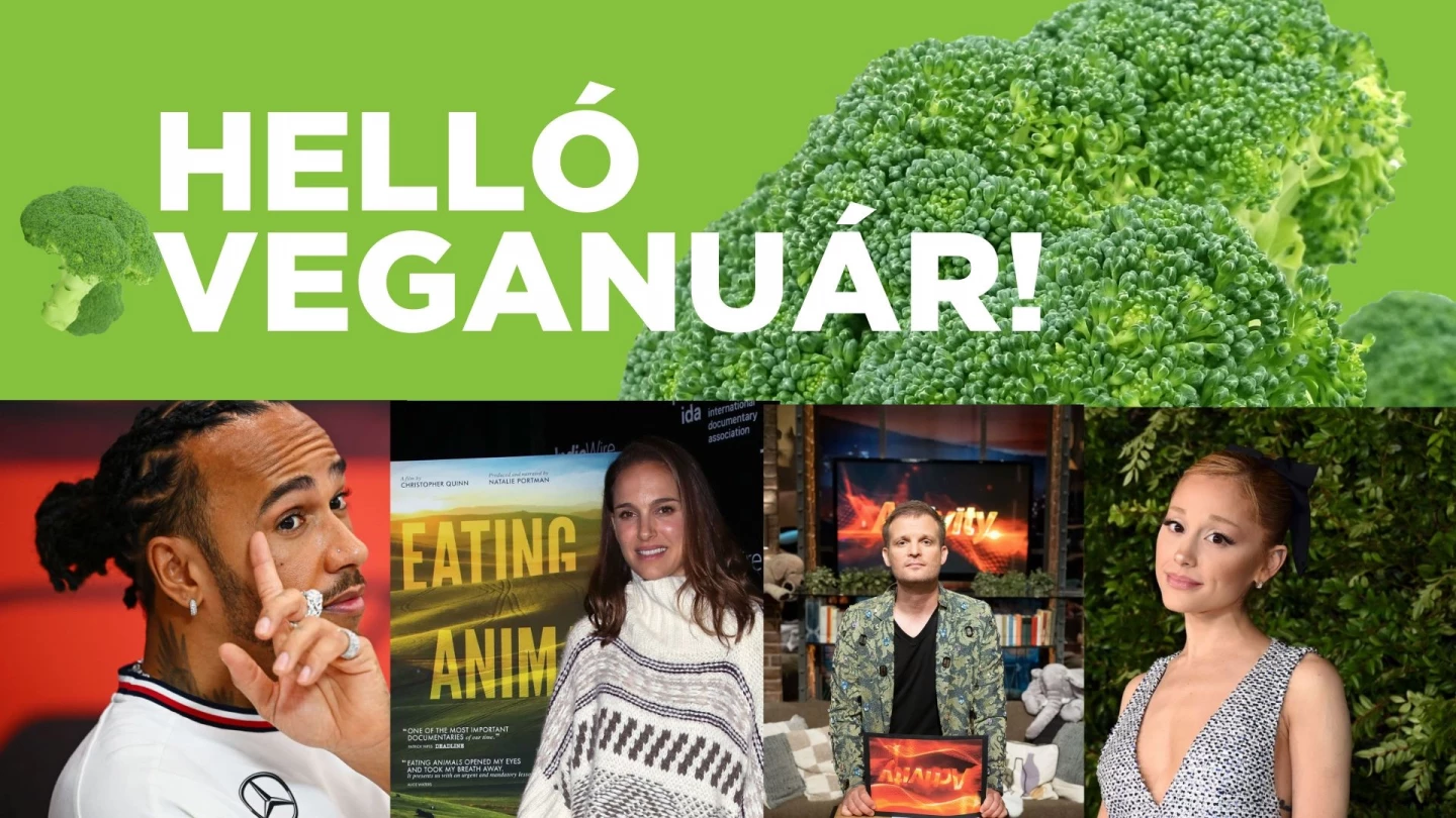 Természetesen! Íme öt izgalmas indok, amiért idén érdemes felfedezned a Veganuárt:

1. **Környezettudatosság**: A Veganuár nemcsak a vegán életmód kipróbálásának remek lehetősége, hanem egyben a környezet védelméért tett lépés is. A növényi alapú táplálko