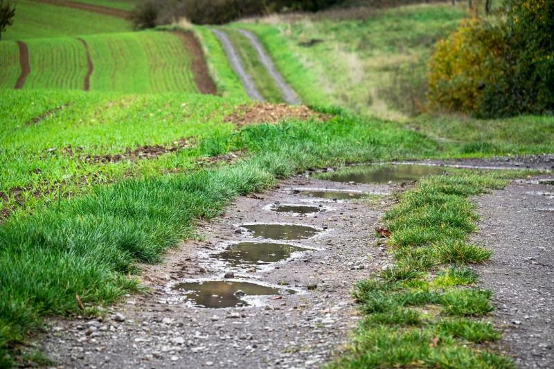 A májusi eső csodás ajándék, de sajnos nem mindenütt áztatja meg a földet aranyat érő cseppjeivel - Magyar Mezőgazdaság.