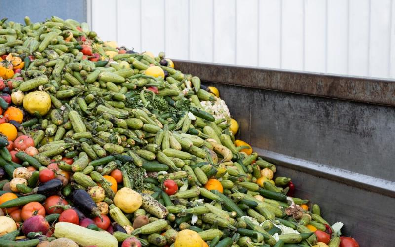 Eurostat adatai szerint 2023-ban az Európai Unió területén lakosonként körülbelül 130 kilogramm élelmiszer hullott kárba.
