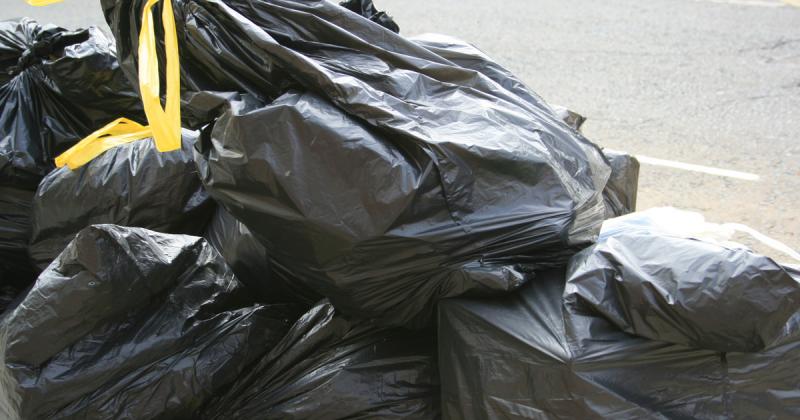 Elképesztő, amit egy utcaseprő felfedezett a hulladék között: a szívverése is megállt egy pillanatra, amikor rátalált.