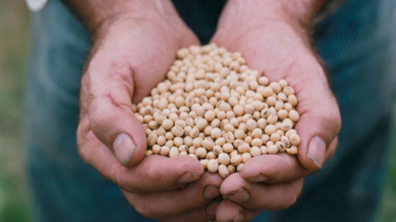 A vámháború következménye végre megmutatkozott: a kínaiak új megállapodást kötöttek. - Agro Napló